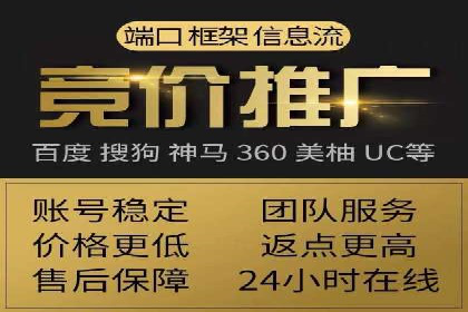 成功背后的力量：SEM推广代运营公司的故事